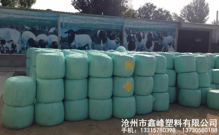 綠色牧草膜產(chǎn)品實拍